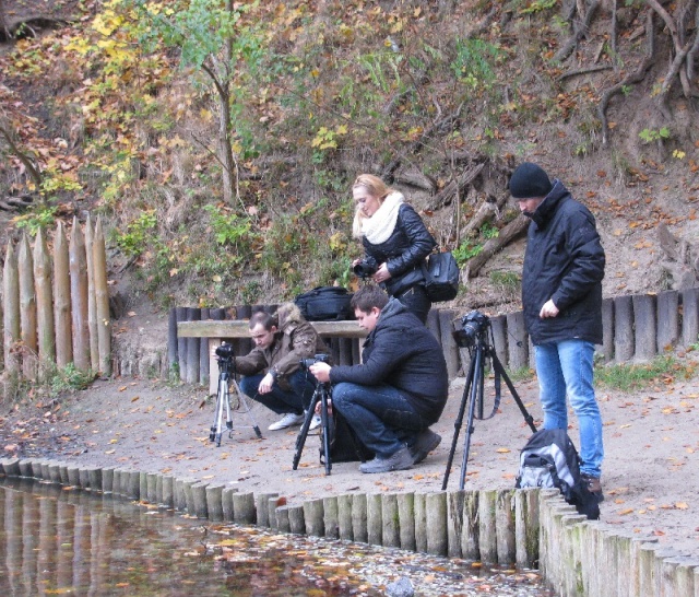 71 Plener Migawki - fot. Eugeniusz Bednarski (10) [09.11.2014] 71. Plener Migawki - "Jesienne opowieści"