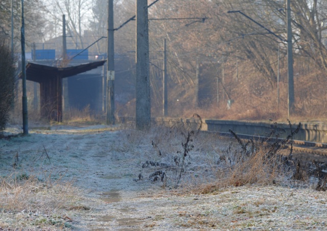 74 Plener Migawki - fot. Katarzyna Romaniuk (8) [28.02.2015] 74. Plener Migawki - Szczecińska Kolej Metropolitalna