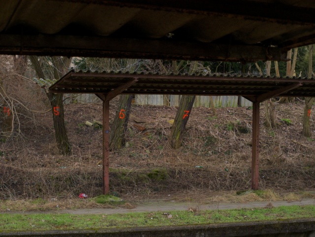 74 Plener Migawki - fot. Krzysztof Kaczmarek (6) [28.02.2015] 74. Plener Migawki - Szczecińska Kolej Metropolitalna