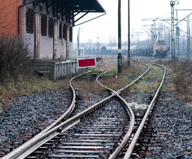 74 Plener Migawki - fot. Regina Nowotarska (2) [28.02.2015] 74. Plener Migawki - Szczecińska Kolej Metropolitalna