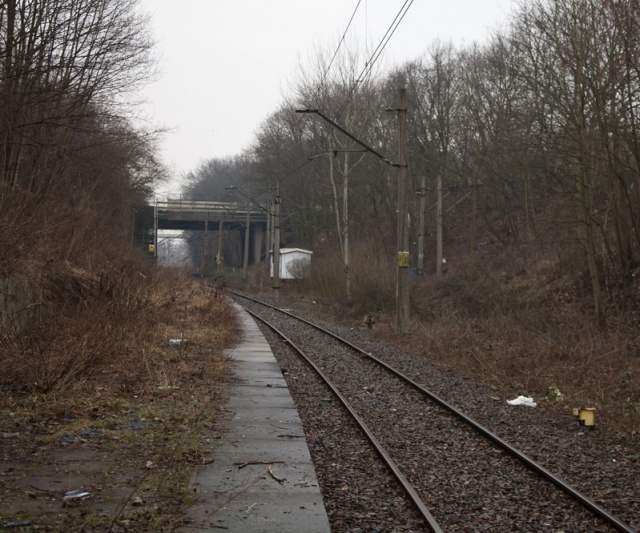 74 Plener Migawki - fot. Anna Klinkosz (3) [28.02.2015] 74. Plener Migawki - Szczecińska Kolej Metropolitalna