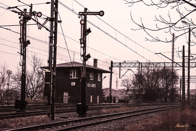 74 Plener Migawki - fot. Benedykt Dróżdż (7) [28.02.2015] 74. Plener Migawki - Szczecińska Kolej Metropolitalna