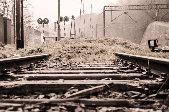 74 Plener Migawki - fot. Benedykt Dróżdż (8) [28.02.2015] 74. Plener Migawki - Szczecińska Kolej Metropolitalna