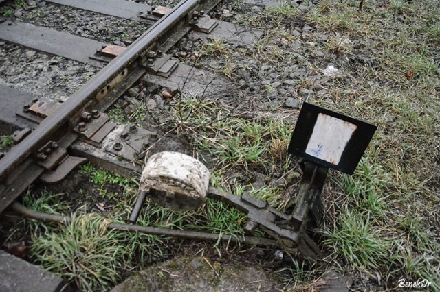 74 Plener Migawki - fot. Benedykt Dróżdż (9) [28.02.2015] 74. Plener Migawki - Szczecińska Kolej Metropolitalna