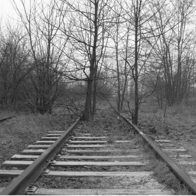 74 Plener Migawki - fot. Eugeniusz Bednarski (1) [28.02.2015] 74. Plener Migawki - Szczecińska Kolej Metropolitalna