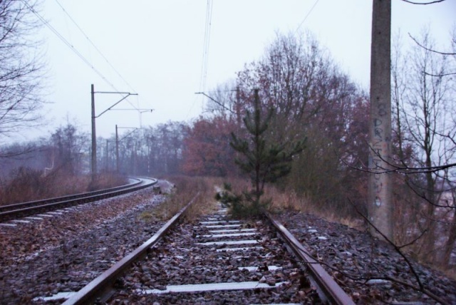 74 Plener Migawki - fot. Jarosław Stachura (2) [28.02.2015] 74. Plener Migawki - Szczecińska Kolej Metropolitalna