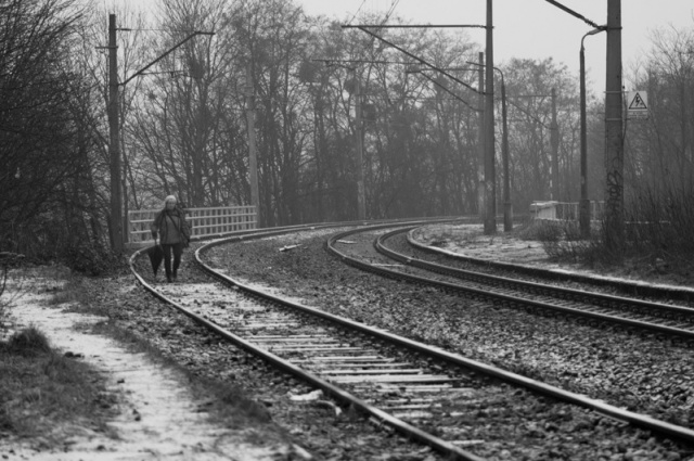 74 Plener Migawki - fot. Jerzy Zieliński (1) [28.02.2015] 74. Plener Migawki - Szczecińska Kolej Metropolitalna