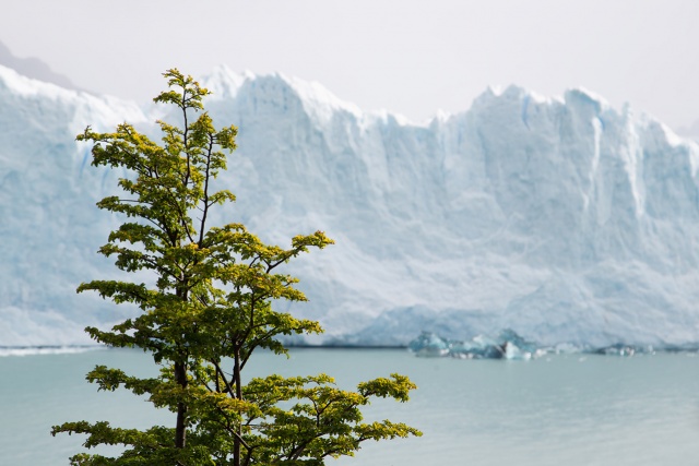 Galeria Gościa: Patagonia w obiektywie Sławka Stępnia [05.04.2015] Galeria Gościa: Patagonia w obiektywie Sławka Stępnia (Fotoklub Szczecin)