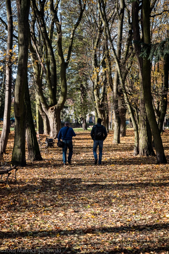 83 Plener Migawki - fot. Marek Pijanowski (12) [08.11.2015] 83. Plener Fotograficzny Migawki - Szlak przyrodniczo-historyczny "Pogodny"