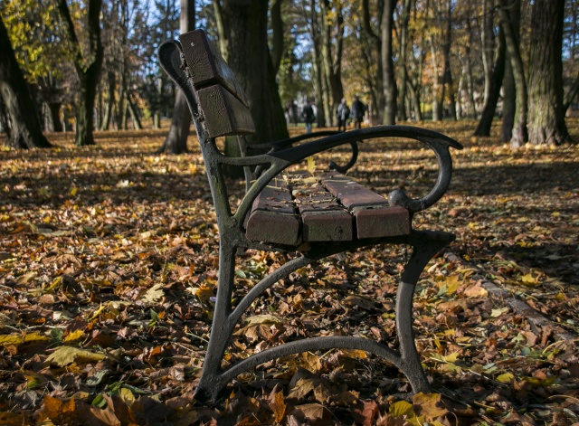 83 Plener Migawki - fot. Marta Teszner (2) [08.11.2015] 83. Plener Fotograficzny Migawki - Szlak przyrodniczo-historyczny "Pogodny"