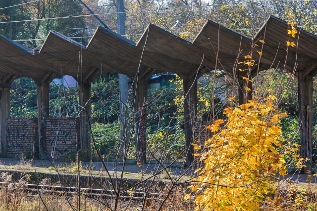 83 Plener Migawki - fot. Zbigniew Jabłoński (9) [08.11.2015] 83. Plener Fotograficzny Migawki - Szlak przyrodniczo-historyczny "Pogodny"