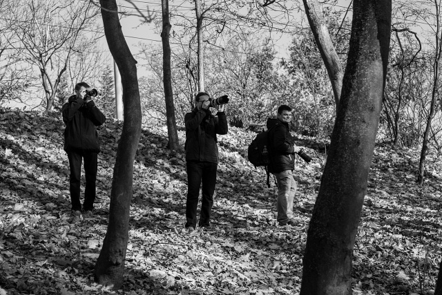 83 Plener Migawki - fot. Zbigniew Jabłoński (10) [08.11.2015] 83. Plener Fotograficzny Migawki - Szlak przyrodniczo-historyczny "Pogodny"