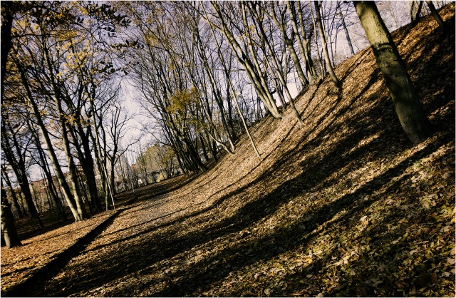 83 Plener Migawki - fot. Artur Uciński (7) [08.11.2015] 83. Plener Fotograficzny Migawki - Szlak przyrodniczo-historyczny "Pogodny"