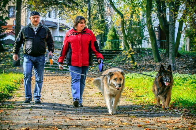 83 Plener Migawki - fot. Grzegorz Bera (2) [08.11.2015] 83. Plener Fotograficzny Migawki - Szlak przyrodniczo-historyczny "Pogodny"