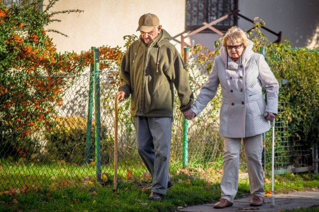 83 Plener Migawki - fot. Grzegorz Bera (4) [08.11.2015] 83. Plener Fotograficzny Migawki - Szlak przyrodniczo-historyczny "Pogodny"