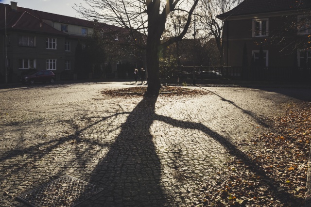 83 Plener Migawki - fot. Grzegorz Mikołajczyk (1) [08.11.2015] 83. Plener Fotograficzny Migawki - Szlak przyrodniczo-historyczny "Pogodny"