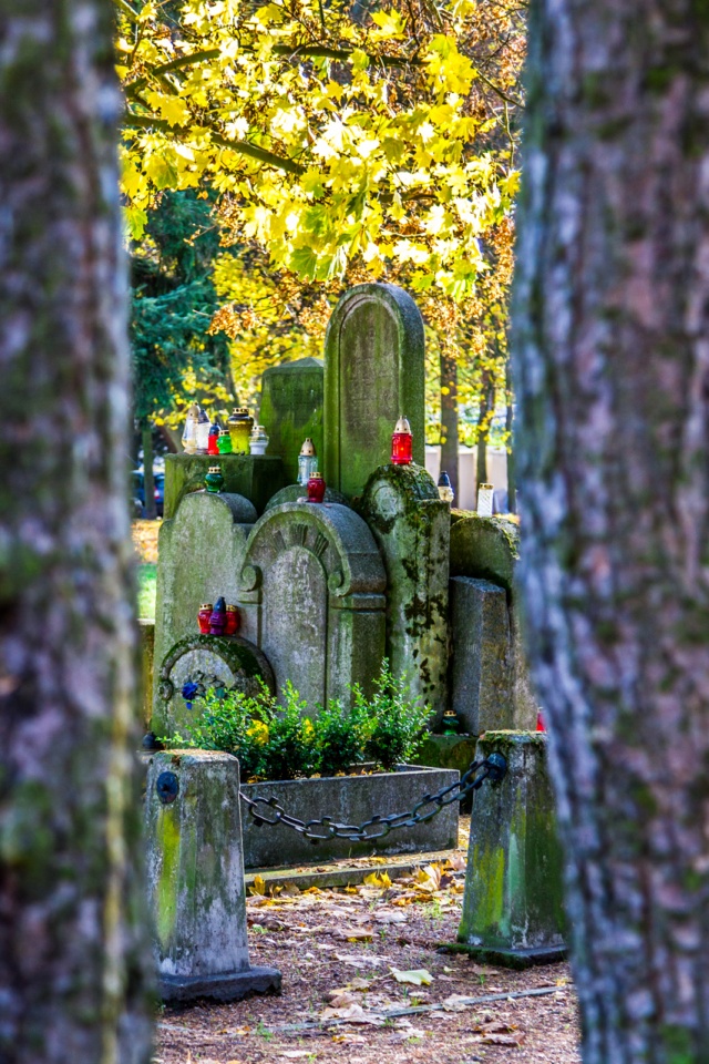 83 Plener Migawki - fot. Maciej Moskiewicz (4) [08.11.2015] 83. Plener Fotograficzny Migawki - Szlak przyrodniczo-historyczny "Pogodny"