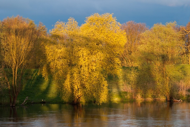 87 Plener Migawki - fot. Katarzyna Romaniuk (3) [24.04.2016] 87. Plener Migawki - Cedyński Park Krajobrazowy