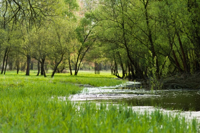 87 Plener Migawki - fot. Katarzyna Romaniuk (6) [24.04.2016] 87. Plener Migawki - Cedyński Park Krajobrazowy