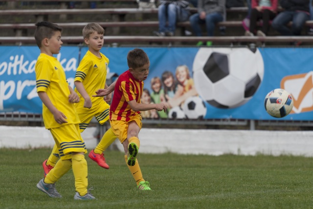 88 Plener Migawki - fot. Artur Kłym (6) [14.05.2016] 88. Plener Migawki - 70. lecie Arkonii Szczecin