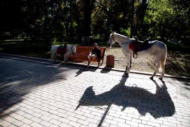 Kijów, fot. Andrzej Kutys [11.09.2016] Pod słońce i o świcie