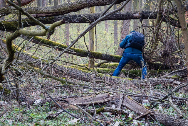 99 Plener Migawki - fot. Marek Pijanowski (9) [02.04.2017] 99. Plener Migawki - "Na wzgórzach Zatoni"