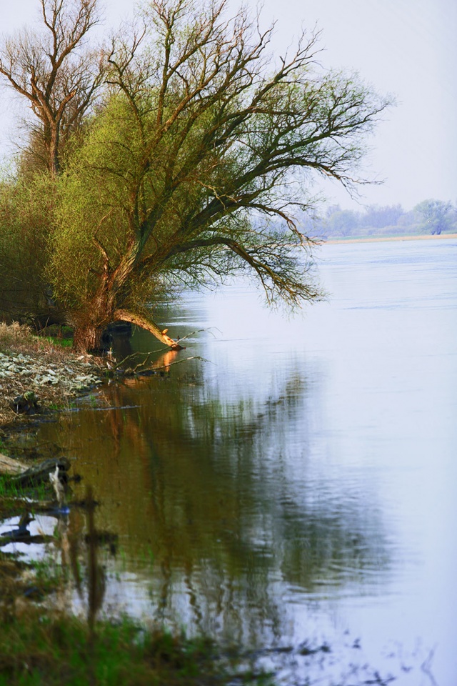 99 Plener Migawki - fot. Mirosław Tomczuk (7) [02.04.2017] 99. Plener Migawki - "Na wzgórzach Zatoni"