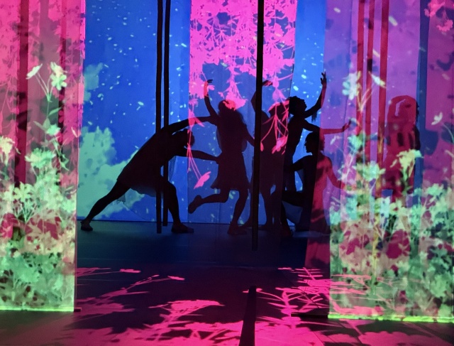 "Sen nocy letniej". Teatr Brama. 13 marca 2026 r. Fot. Barbara Patlewicz "Sen nocy letniej" na 30. urodziny Teatru Brama [POSŁUCHAJ]