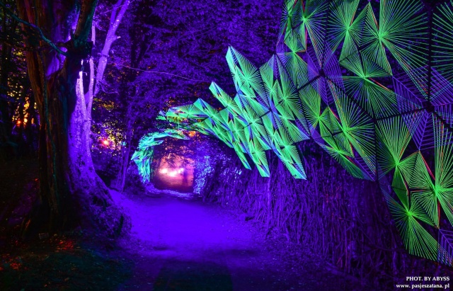 Fot. Materiały prasowe festiwalu Rozpoczyna się 16. Summer Contrast Festival [POSŁUCHAJ, ZDJĘCIA]