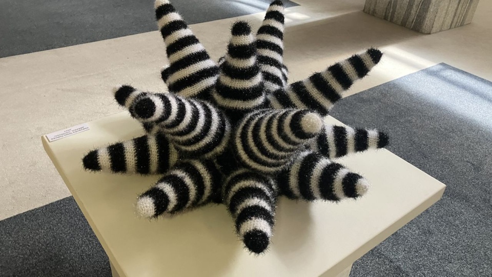 20 lat pracy Aleksandry Gisges-Daleckiej. Fot. Małgorzata Frymus