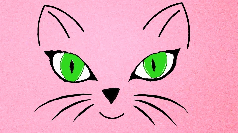 Materiały promoyjne organizatora