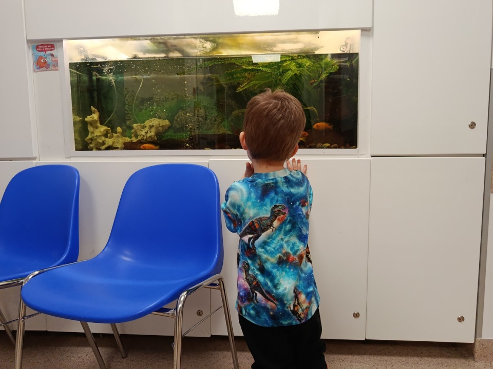 Poldek podopieczny KTA w Szczecinie przed akwarium