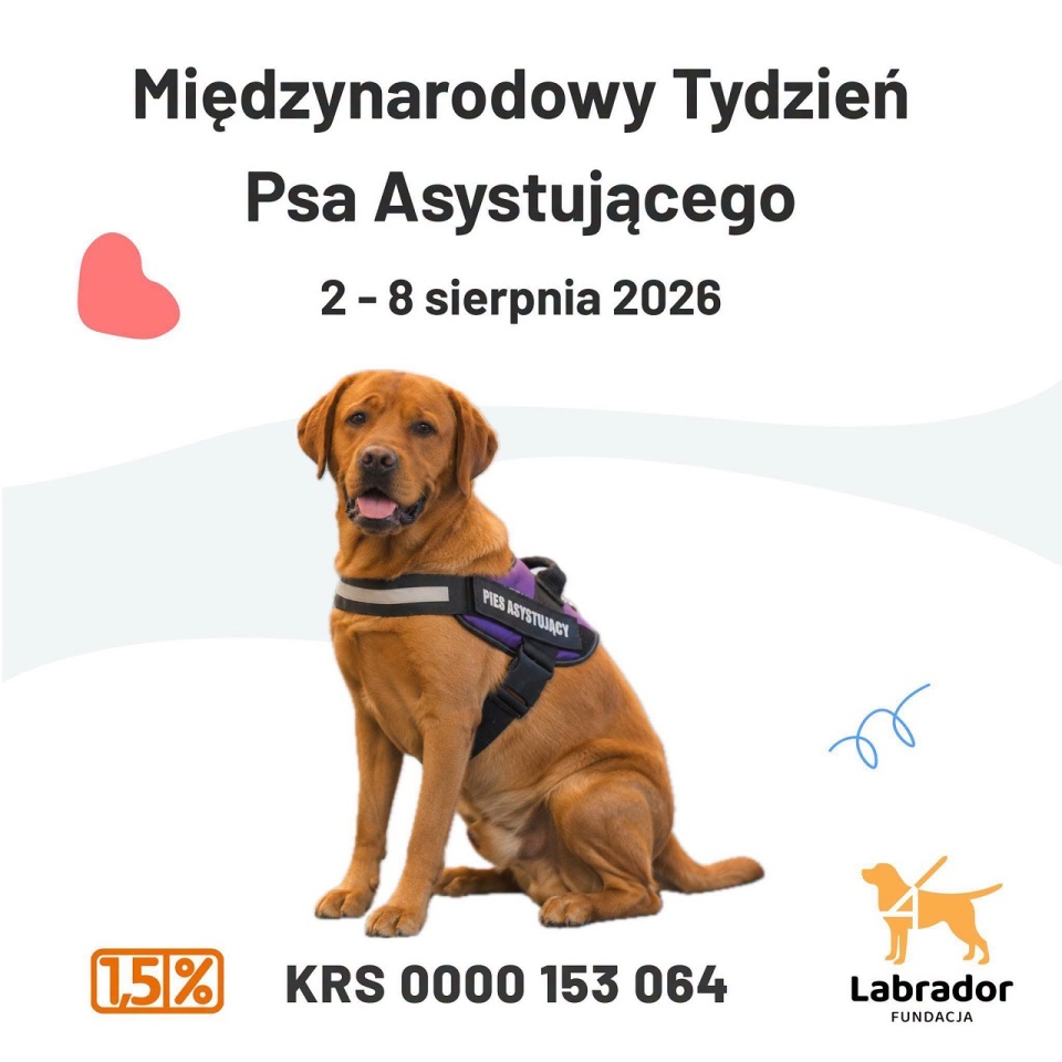 Fundacja Labrador Pies Przewodnik