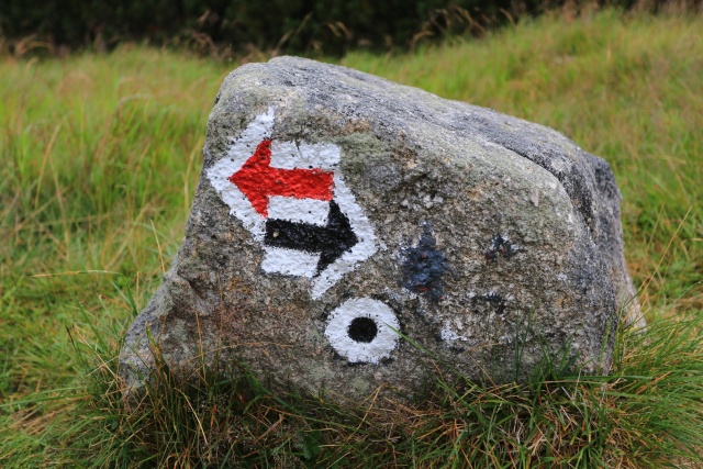 Podróżować, podróżować | fot. Maciej Papke Podróżować jest bosko 