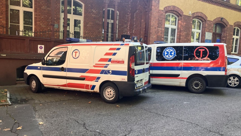 Samochody, które jadą "walczyć". Fot. Małgorzata Frymus