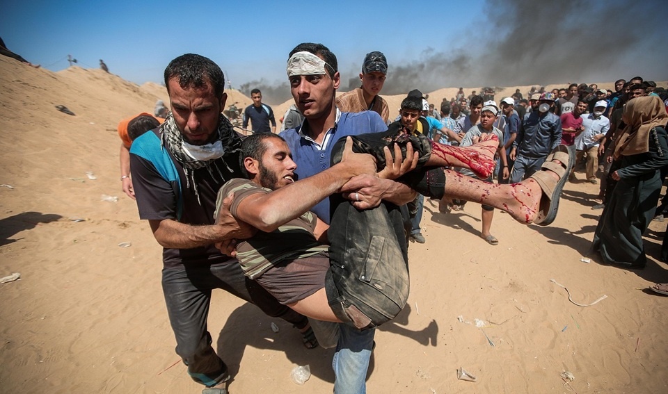 źródło: www.pixabay.com/pl/photos/ Fot. hosny salah