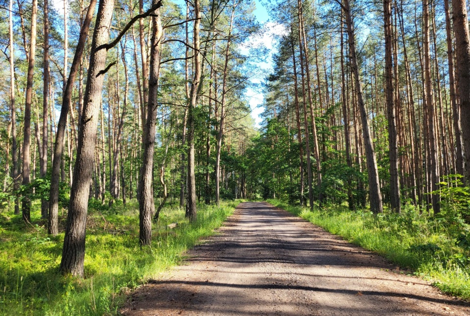 Fot. Sławomir Orlik, PR Szczecin
