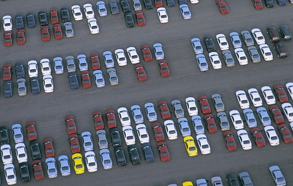 źródło: www.pixabay.com/pl/photos/ Fot.Alexander Lesnitsky