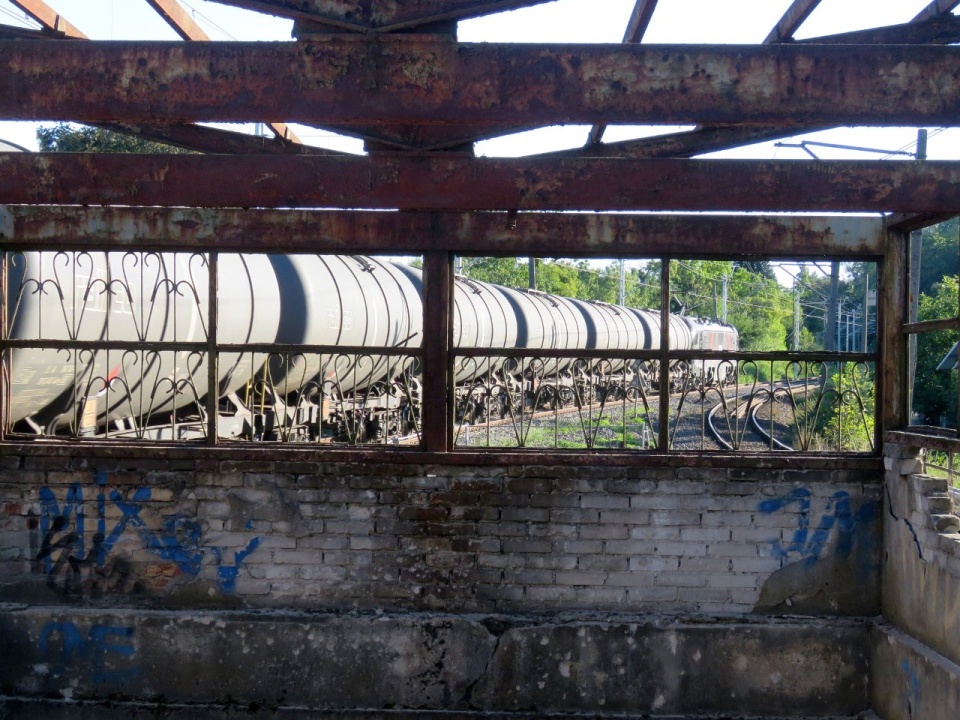 fot. Marek Jaszczyński