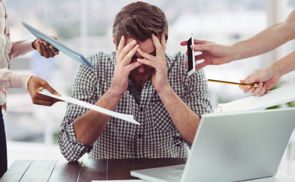 Źródło: www.ms.gov.pl