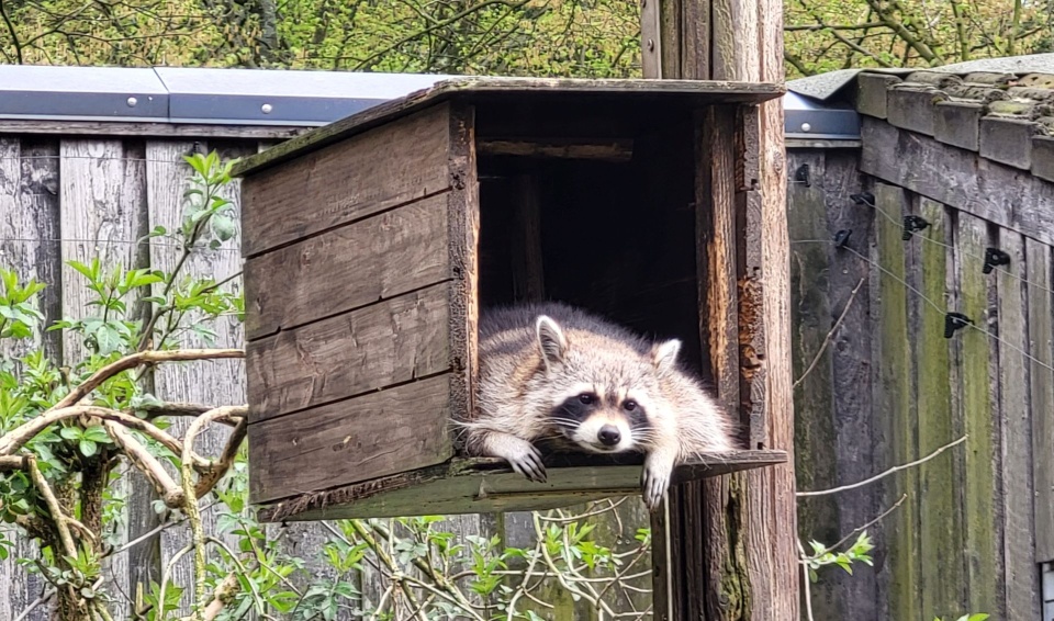 Fot. Sławomir Orlik, PR Szczecin