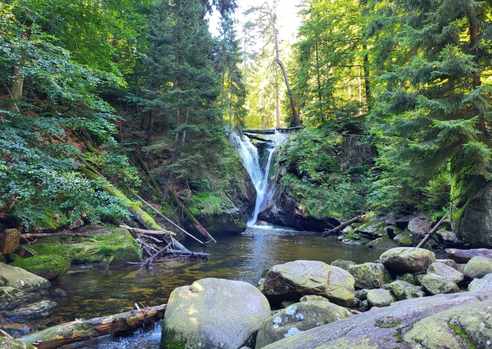 Fot. Sławomir Orlik, PR Szczecin