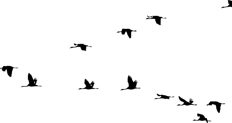 Grafika - pixabay.com