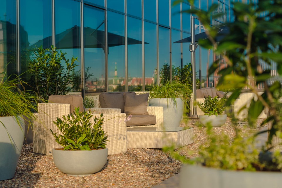 Fot. Mateusz Świtała