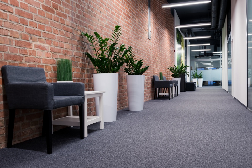 Fot. Mateusz Świtała