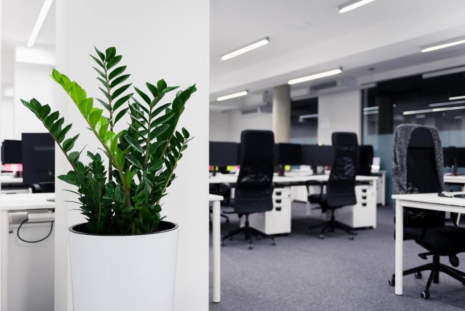 Fot. Mateusz Świtała