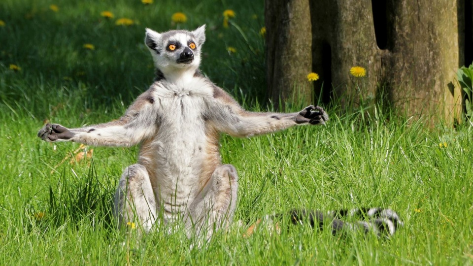 Tierpark Ueckermünde