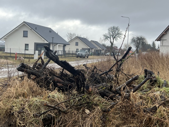 fot. Małgorzata Gwiazda-Elmerych "...w pień" - reportaż Małgorzaty Gwiazdy-Elmerych