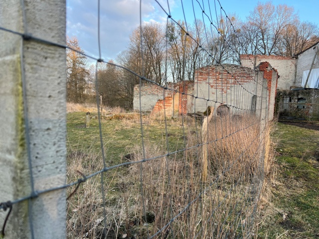 Fot. Małgorzata Gwiazda-Elmerych [Radio Szczecin] "W słowach kilku o wilku" - reportaż Małgorzaty Gwiazdy-Elmerych