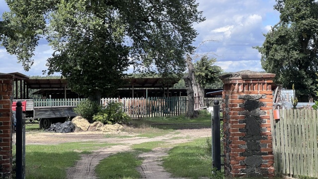 Fot. Małgorzata Gwiazda - Elmerych "Kruk krukowi..., ale owcy już tak" - reportaż Małgorzaty Gwiazdy-Elmerych